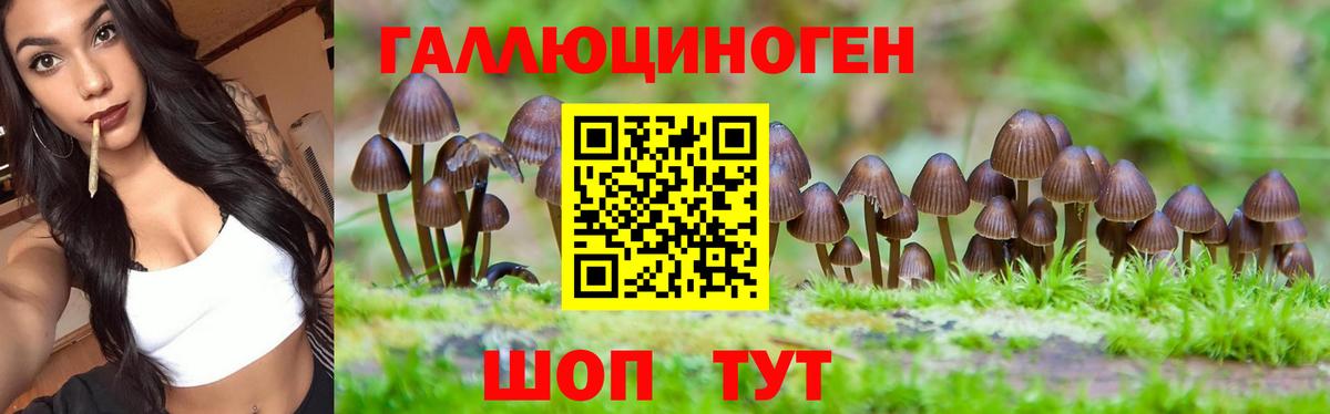 Егорьевск  Галлюциногенные грибы GOLDEN TEACHER  Вход с VPN  Галлюциногенные грибы Magic Shrooms 
